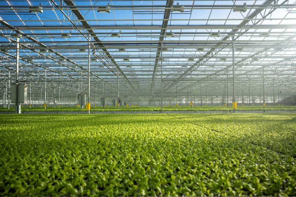 Werkvoorbereider - Horti