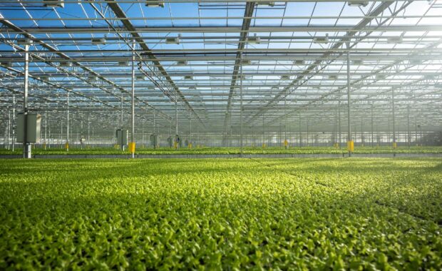 Werkvoorbereider - Horti