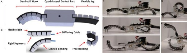 Blog 3-2-2026: Biomechanical Engineering - Ocotopusarm en soft robotics