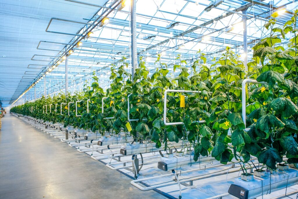Werkvoorbereider - Tuinbouw